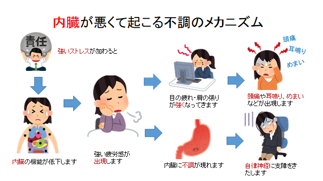 内臓が悪くて起こる不調のメカニズム