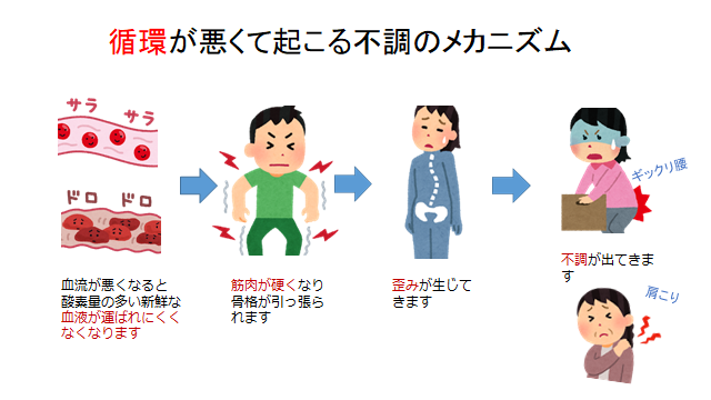 循環が悪くておこる不調のメカニズム